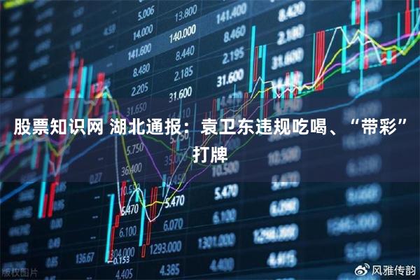股票知识网 湖北通报：袁卫东违规吃喝、“带彩”打牌
