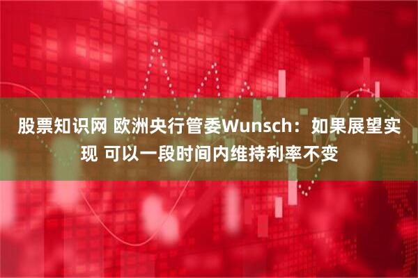 股票知识网 欧洲央行管委Wunsch：如果展望实现 可以一段时间内维持利率不变